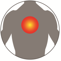 chest